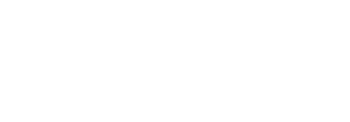 Blink Schoonmaak 010